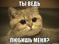 ты ведь любишь меня?