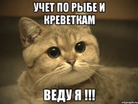 учет по рыбе и креветкам веду я !!!