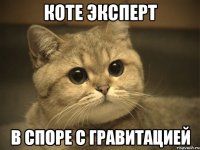 коте эксперт в споре с гравитацией