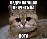 педрила ушол дрочить на кота