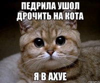 педрила ушол дрочить на кота я в ахуе