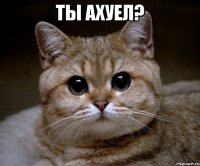 ты ахуел? 