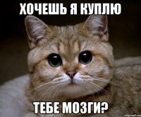 хочешь я куплю тебе мозги?