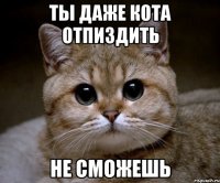 ты даже кота отпиздить не сможешь