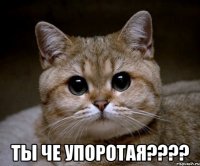  ты че упоротая???