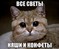 все светы няши и конфеты