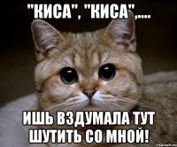 "киса", "киса",.... ишь вздумала тут шутить со мной!