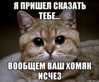 я пришел сказать тебе... вообщем ваш хомяк исчез