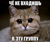 чё не входишь в эту группу