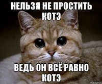 нельзя не простить котэ ведь он всё равно котэ