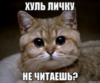 хуль личку не читаешь?