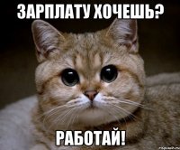 зарплату хочешь? работай!