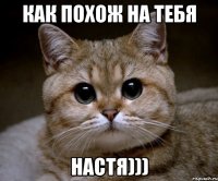 как похож на тебя настя)))