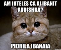 am inteles ca ai ibanit audishka? pidrila ibanaia