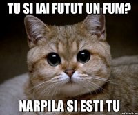 tu si iai futut un fum? narpila si esti tu