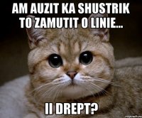 am auzit ka shustrik to zamutit o linie... ii drept?