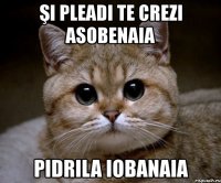 şi pleadi te crezi asobenaia pidrila iobanaia