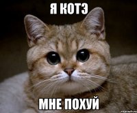 я котэ мне похуй