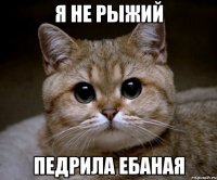 я не рыжий педрила ебаная