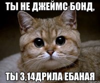 ты не джеймс бонд, ты 3,14дрила ебаная