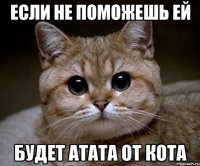 если не поможешь ей будет атата от кота