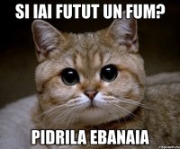 si iai futut un fum? pidrila ebanaia