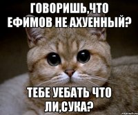 говоришь,что ефимов не ахуенный? тебе уебать что ли,сука?