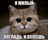 я милый погладь. и охуеешь