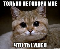 только не говори мне что ты ушел