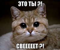 это ты ?! свееееет ?!