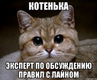 котенька эксперт по обсуждению правил с лайном