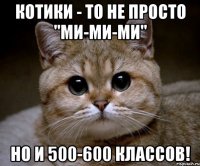 котики - то не просто "ми-ми-ми" но и 500-600 классов!