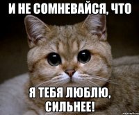 и не сомневайся, что я тебя люблю, сильнее!