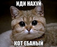 иди нахуй кот ебаный