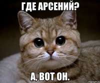 где арсений? а, вот он.