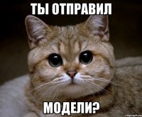 ты отправил модели?