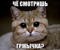 чё смотришь гржычка?