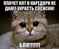 плачет кот в каредори не дают украсть сосиски! бля!!!