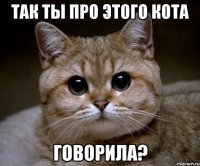 так ты про этого кота говорила?