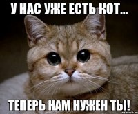 у нас уже есть кот... теперь нам нужен ты!