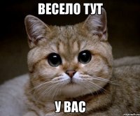 весело тут у вас