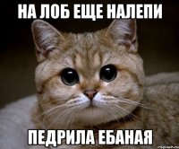 на лоб еще налепи педрила ебаная