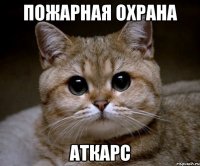 пожарная охрана аткарс