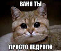 ваня ты просто педрило