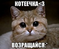 котеечка<3 возращайся:*