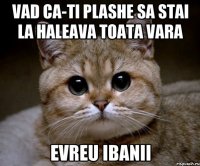 vad ca-ti plashe sa stai la haleava toata vara evreu ibanii