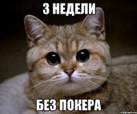 3 недели без покера