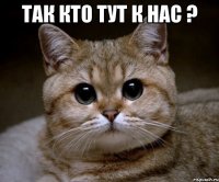 так кто тут к нас ? 