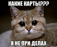 какие карты??? я не при делах