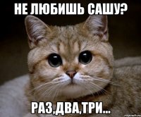 не любишь сашу? раз,два,три...